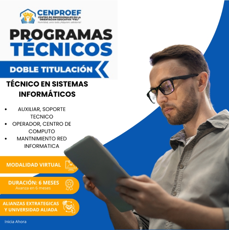 Técnico en Sistemas 