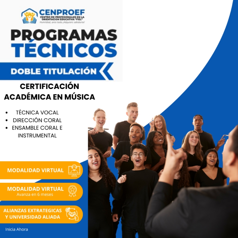 Técnico en Instrumentos y Pedagogía Musical